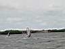 DSC00449.JPG