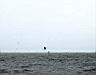 DSC00494.JPG