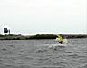 DSC00527.JPG